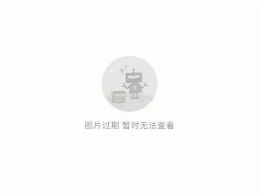 美加墨世界杯Fan Fest：球迷狂欢的免费户外盛会